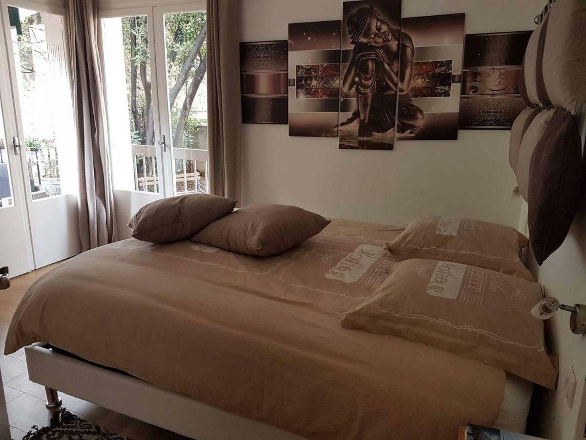 23 Rue Jean Amade Apartment Ceret Ngoại thất bức ảnh