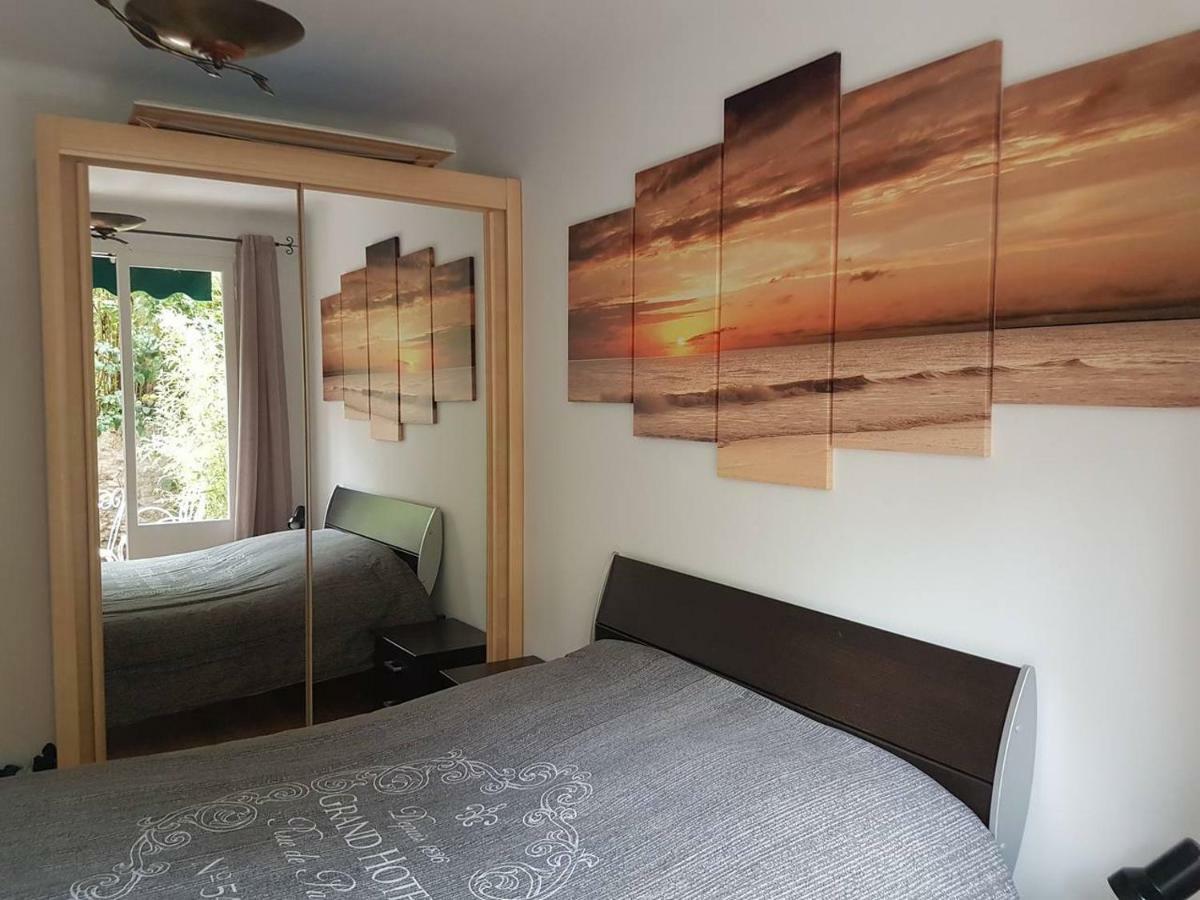 23 Rue Jean Amade Apartment Ceret Ngoại thất bức ảnh